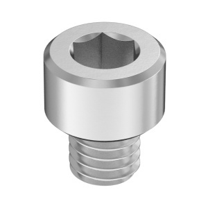 Super-Corrosion-Resistant A4 Socket Head Screw M6 x 1 mm Thread size, 6 mm Long图3